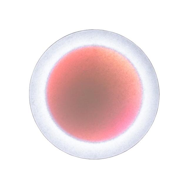 Ingo Maurer Moodmoon Round Væglampe Hvid Rød  4251545418393