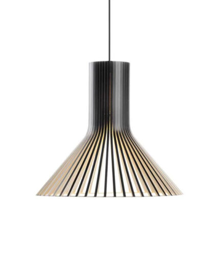 Puncto Pendel 4203 Birk  6430053140127