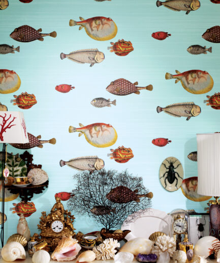 Acquario Light Blue  5055496018652